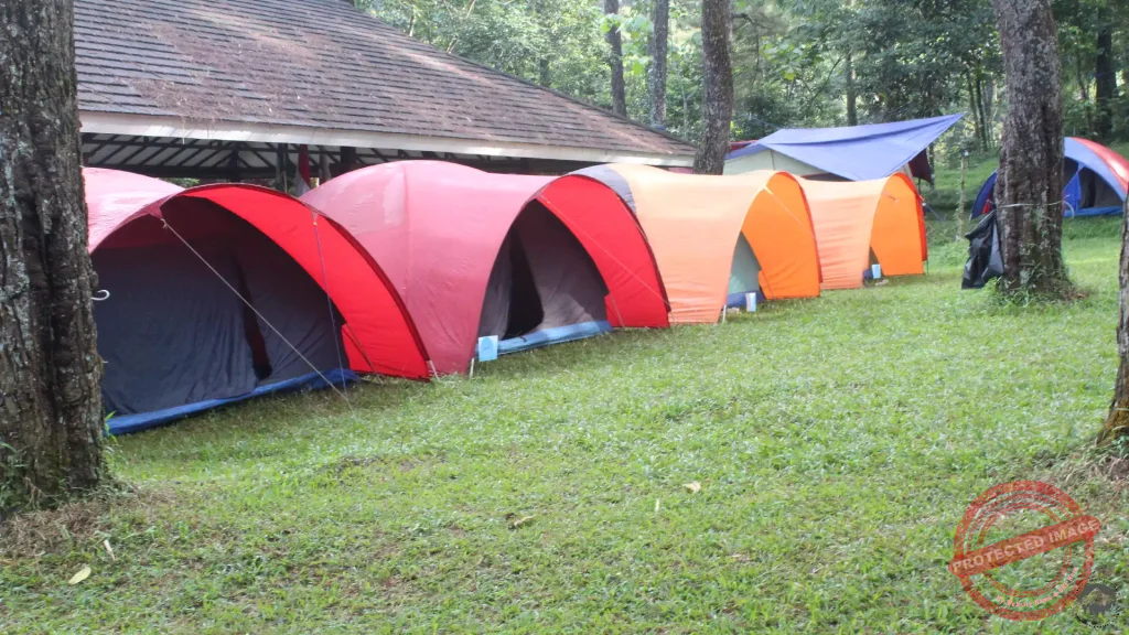 Tempat Camping Sentul Eco Edu Forest