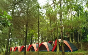 Tempat Camping Talaga Cikeas Resort Sentul Bogor